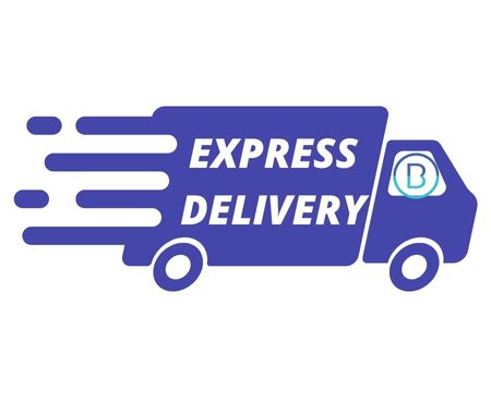 Express delivery service bluorbit